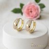 Goldfilled antialergénne náušnice 14mm 14K farba  